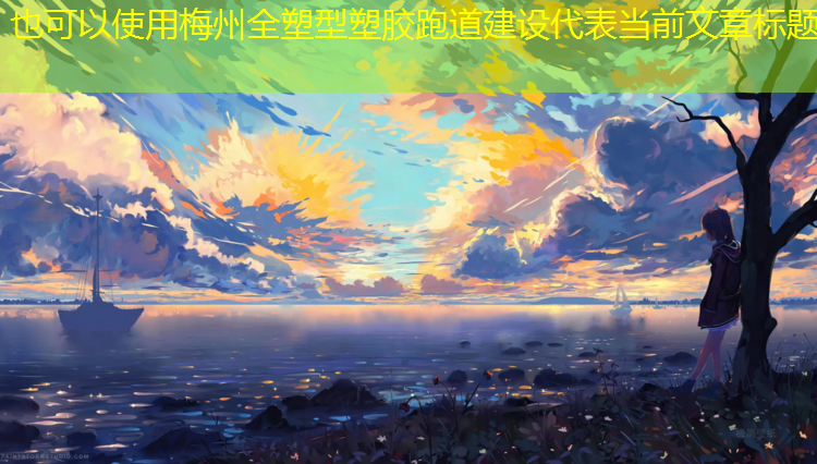 梅州全塑型塑胶跑道建设