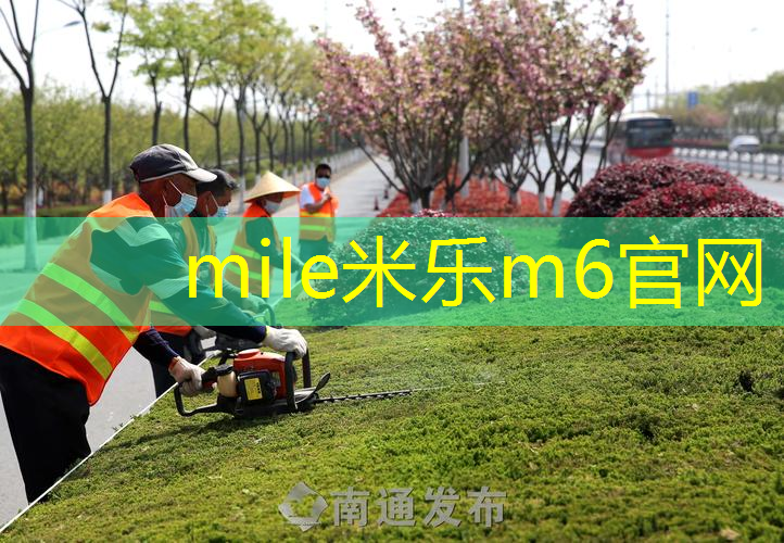 mile·米乐m6：泰尼飞网球拍高清图