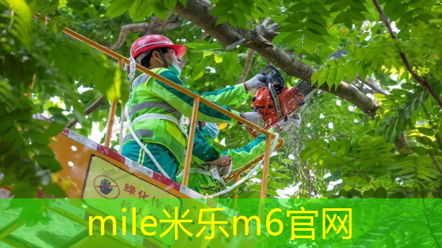 宣化哪有露天乒乓球台的地方
