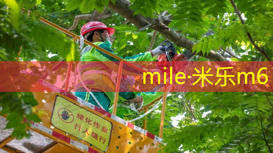 米乐m6官网登录入口：在家无器材的训练篮球