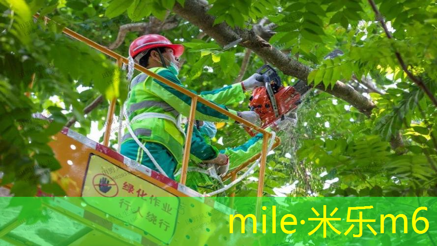 mile米乐m6官网：乒乓球台与灯距离
