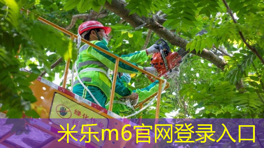 在家无器材的训练篮球