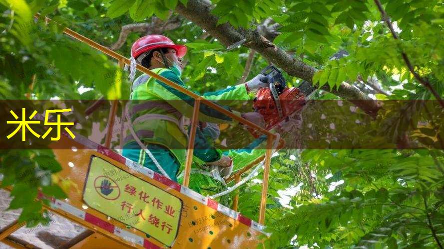 乒乓球台与灯距离
